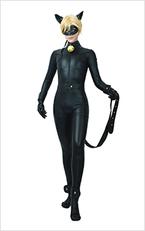 Agreste Black Cat Cosplay Costume